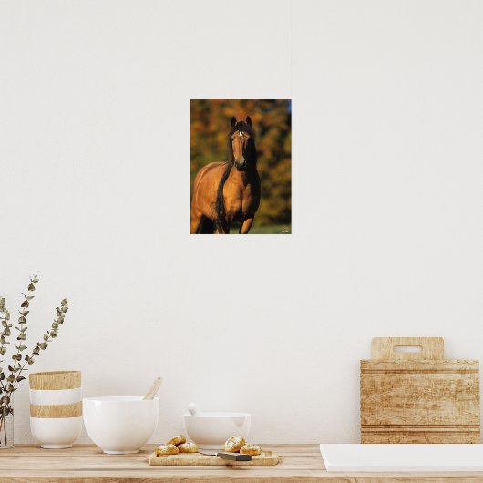 Bob Langrish | Vaststaand Pony Chocktaw Poster (Keuken)