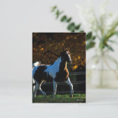 Bob Langrish | Verfpaarden die in de herfst met ac Briefkaart (Staand voorkant)