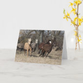 Bob Langrish | Vier buikpaarden Kaart (Gele Bloem)