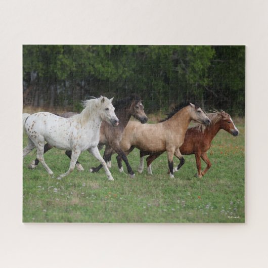 Bob Langrish | Vier pony's die samenwerken Legpuzzel (Horizontaal)