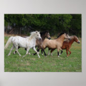 Bob Langrish | Vier pony's die samenwerken Poster (Voorkant)