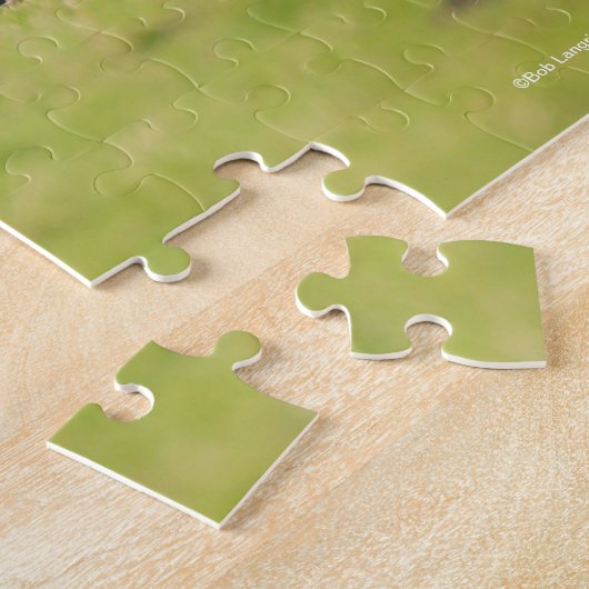 Bob Langrish | Vier Welsh Ponies die samen staan Legpuzzel (Zijkant)