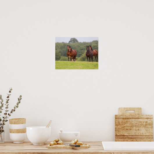 Bob Langrish | Vier Welsh Ponies die samen staan Poster (Keuken)