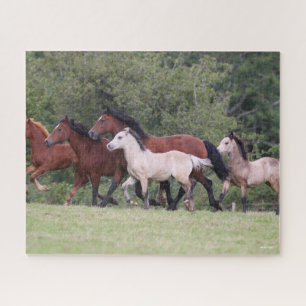 Bob Langrish Welsh Ponies Running Mares and Foals Legpuzzel