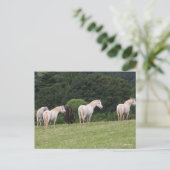 Bob Langrish | Welsh Ponies Standing in Field Briefkaart (Staand voorkant)