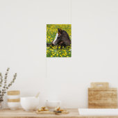 Bob Langrish | Welsh Pony Foal Lying in Grass Poster (Keuken)