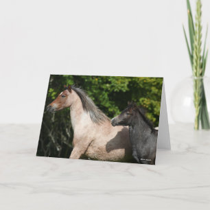 Bob Langrish   Welsh Pony Mare and Foal Headshot Kaart