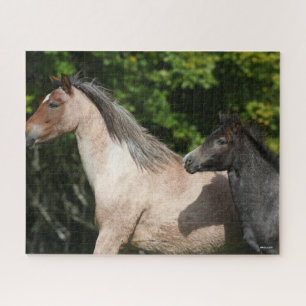 Bob Langrish   Welsh Pony Mare and Foal Headshot Legpuzzel
