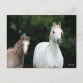 Bob Langrish | Welsh Pony Mare en Foal Briefkaart (Voorkant)