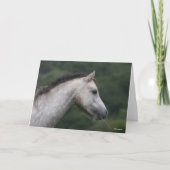 Bob Langrish | Welsh Section A Pony Headshot Kaart (Voorkant)