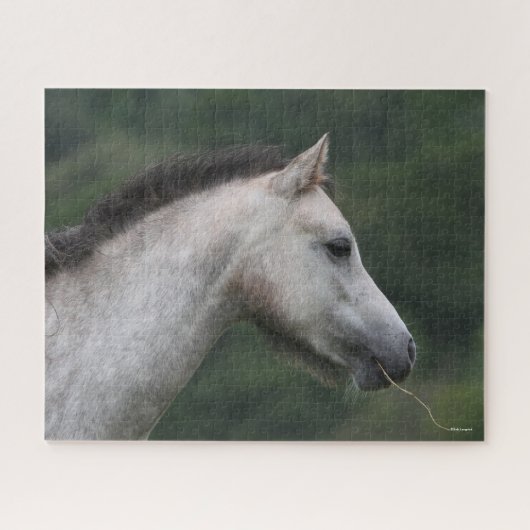 Bob Langrish | Welsh Section A Pony Headshot Legpuzzel (Horizontaal)