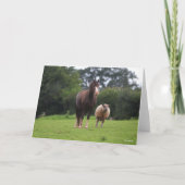 Bob Langrish | Zachte Pony met schaap Kaart (Voorkant)