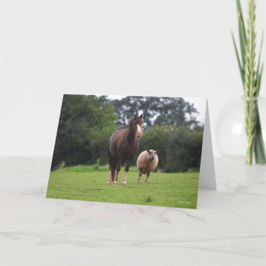 Bob Langrish | Zachte Pony met schaap Kaart (Voorkant)
