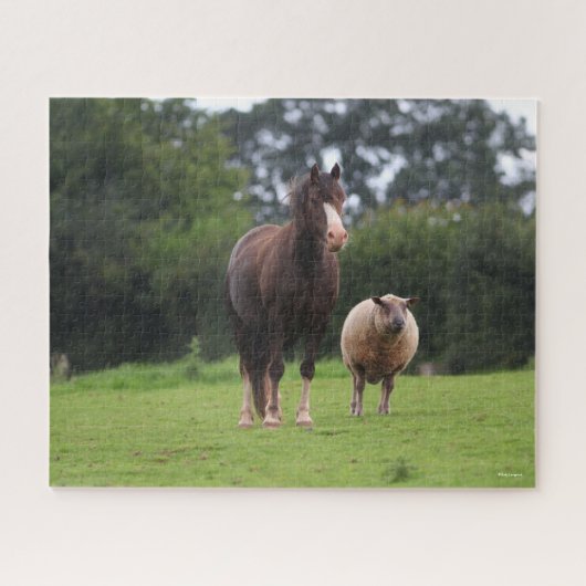 Bob Langrish | Zachte Pony met schaap Legpuzzel (Horizontaal)