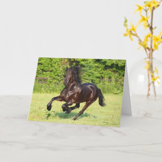 Bob Langrish | Zwart-Aziatisch draaiend Kaart (Gele Bloem)