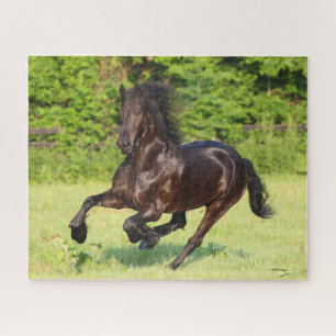 Bob Langrish Zwart-Aziatisch draaiend Legpuzzel