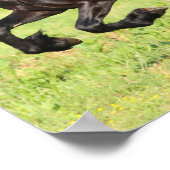 Bob Langrish | Zwart-Aziatisch draaiend Poster (Hoek)