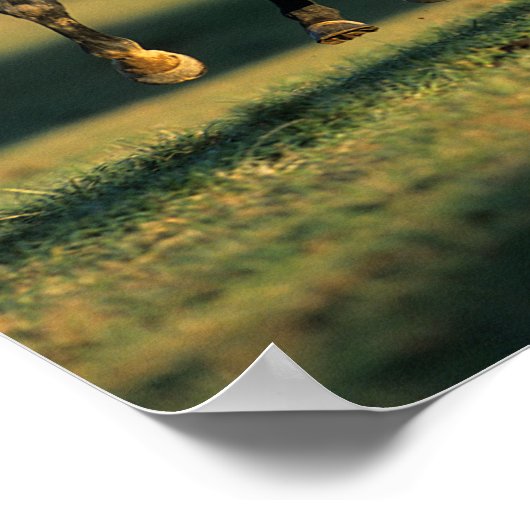 Bob Langrish | Zwart draaiend draaien Poster (Hoek)