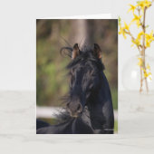 Bob Langrish | Zwarte Andalucian Stallion Headshot Kaart (Gele Bloem)
