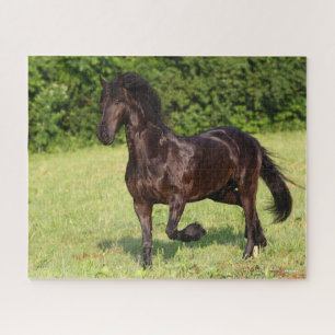 Bob Langrish   Zwarte Friesian Horse Running Legpuzzel