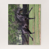 Bob Langrish | Zwarte Lusitano-springmane Legpuzzel (Verticaal)