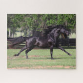 Bob Langrish | Zwarte Lusitano-springmane Legpuzzel (Horizontaal)