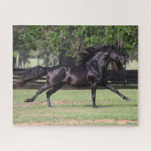 Bob Langrish   Zwarte Lusitano-springmane Legpuzzel