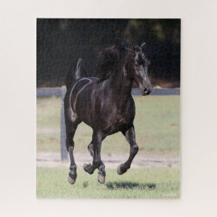 Bob Langrish Zwarte Tennessee Walker aan het wer Legpuzzel