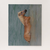 Bob Langrish | Zwemmen van haflingerpaarden in Zee Legpuzzel (Verticaal)
