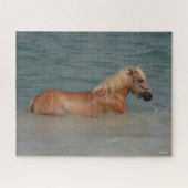 Bob Langrish | Zwemmen van haflingerpaarden in Zee Legpuzzel (Horizontaal)