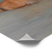 Bob Langrish | Zwemmen van haflingerpaarden in Zee Poster (Hoek)