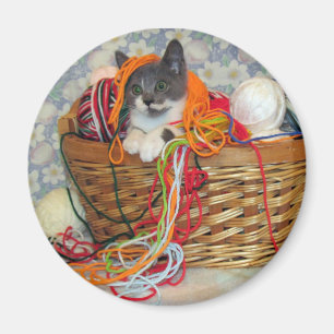Bob Spinn'in a Yarn Magnet Magneet