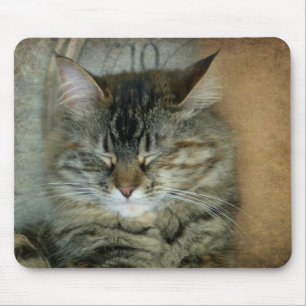 Bob the Cat Muismat