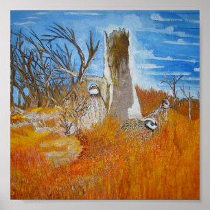 Bob White Quail Poster