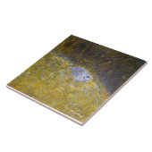 Bob White Quail Tegeltje (Zijkant)