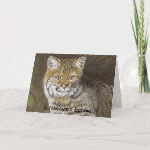 Bobcat