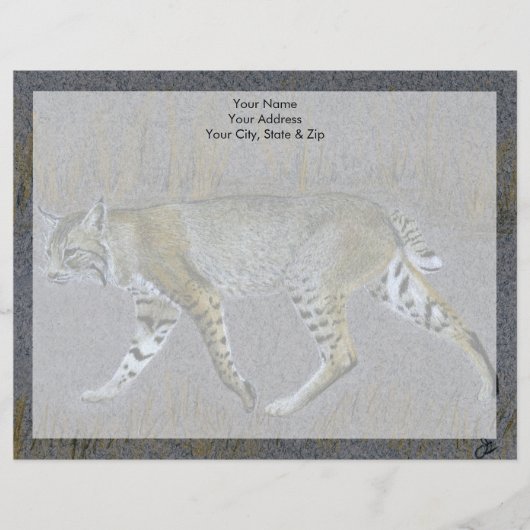 Bobcat Briefhoofd Ontwerp (Voorkant)