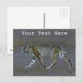 Bobcat Briefkaart (Voorkant / Achterkant)