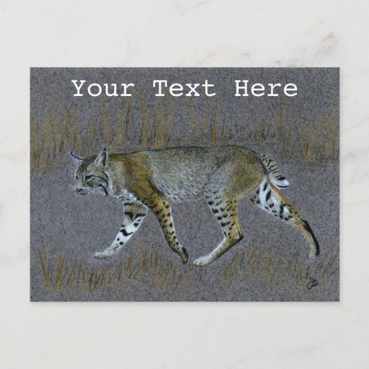 Bobcat Briefkaart (Voorkant)
