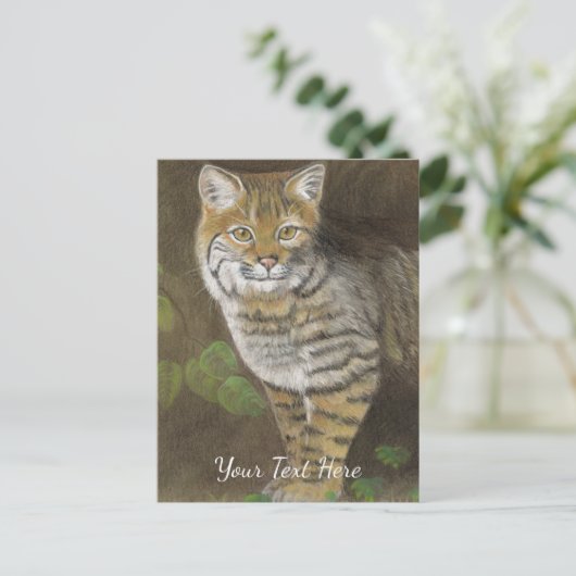 Bobcat Briefkaart (Staand voorkant)