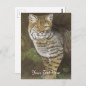 Bobcat Briefkaart (Voorkant / Achterkant)