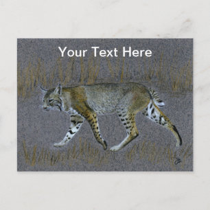 Bobcat Briefkaart