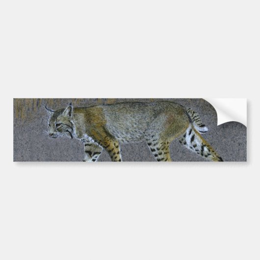 Bobcat Bumpersticker (Voorkant)