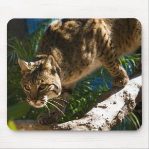 Bobcat Crouch Muismat