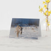 Bobcat die in sneeuw lopen kaart (Gele Bloem)