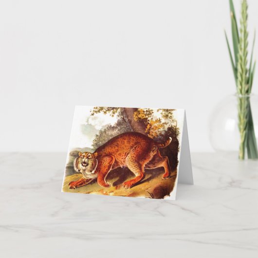 bobcat effrayant (Devant)