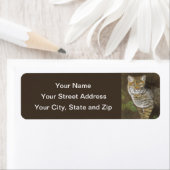 Bobcat Etiket (Insitu)