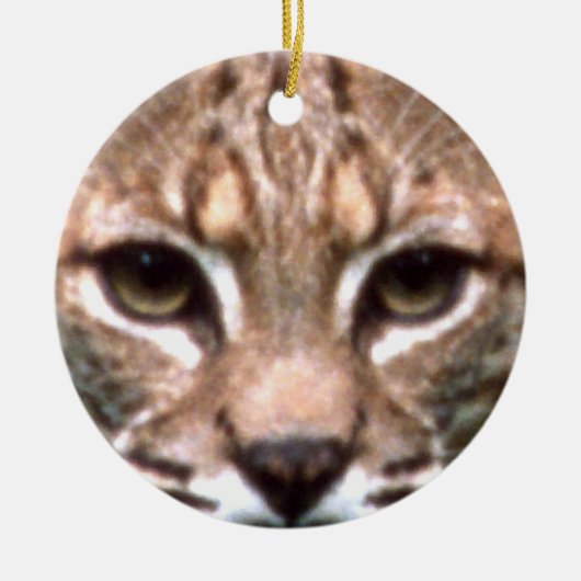 Bobcat Face Keramisch Ornament (Voorkant)