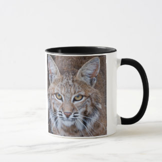 Bobcat Face Mok