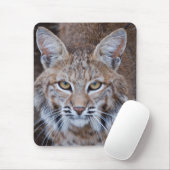 Bobcat Face Muismat (Met muis)